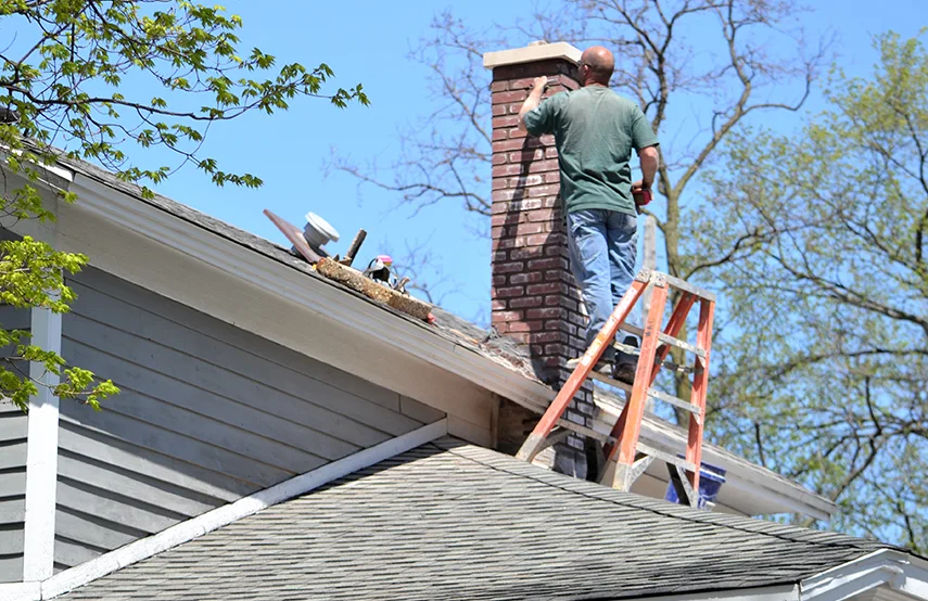 Chimney & Fireplace Inspections Services in Dunwoody, GA